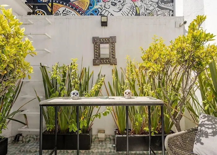 Lovely Loft Coyoacan * México DF